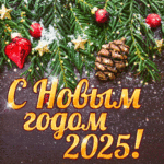 С Новым 2025 Годом!